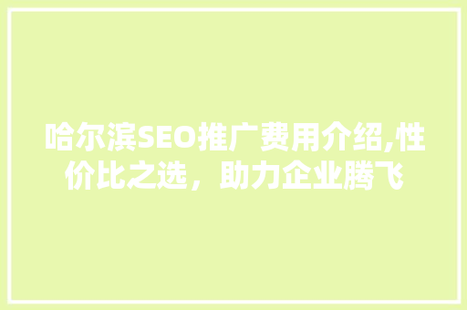 哈尔滨SEO推广费用介绍,性价比之选，助力企业腾飞