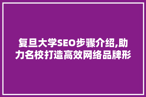 复旦大学SEO步骤介绍,助力名校打造高效网络品牌形象