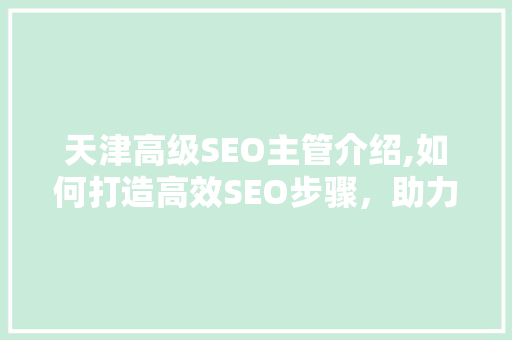 天津高级SEO主管介绍,如何打造高效SEO步骤，助力企业腾飞