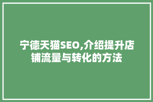 宁德天猫SEO,介绍提升店铺流量与转化的方法
