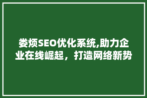 娄烦SEO优化系统,助力企业在线崛起，打造网络新势力