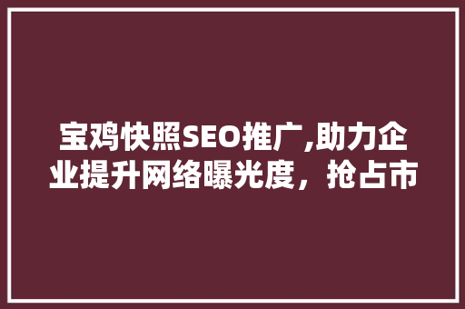 宝鸡快照SEO推广,助力企业提升网络曝光度，抢占市场先机