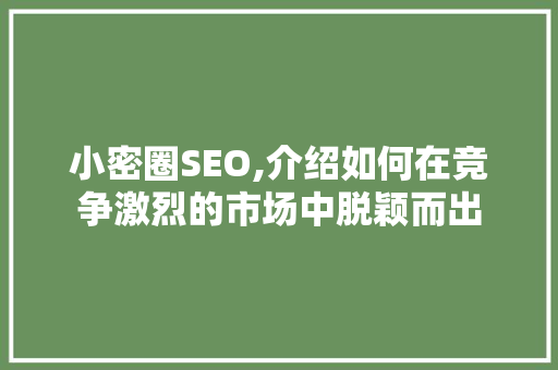 小密圈SEO,介绍如何在竞争激烈的市场中脱颖而出