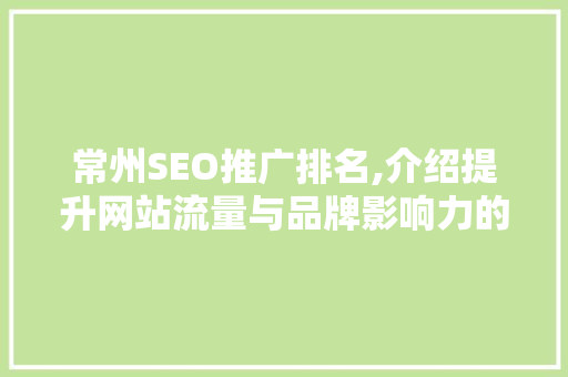 常州SEO推广排名,介绍提升网站流量与品牌影响力的方法