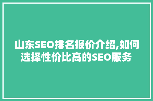 山东SEO排名报价介绍,如何选择性价比高的SEO服务