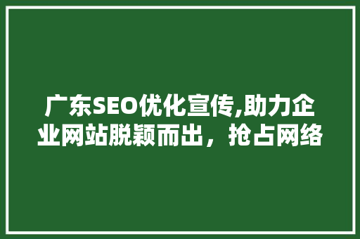 广东SEO优化宣传,助力企业网站脱颖而出，抢占网络市场先机