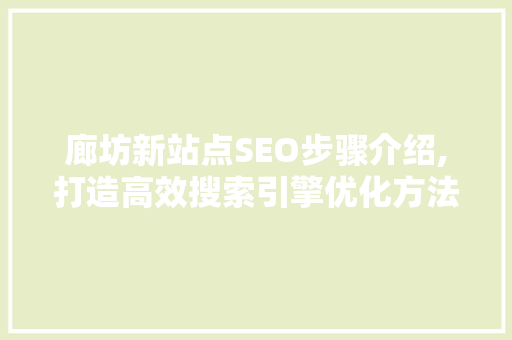 廊坊新站点SEO步骤介绍,打造高效搜索引擎优化方法