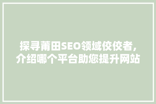 探寻莆田SEO领域佼佼者,介绍哪个平台助您提升网站排名