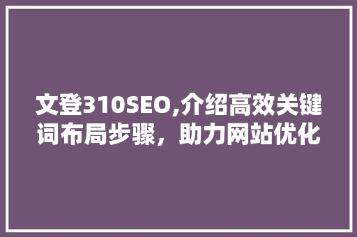 文登310SEO,介绍高效关键词布局步骤，助力网站优化
