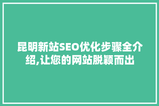 昆明新站SEO优化步骤全介绍,让您的网站脱颖而出