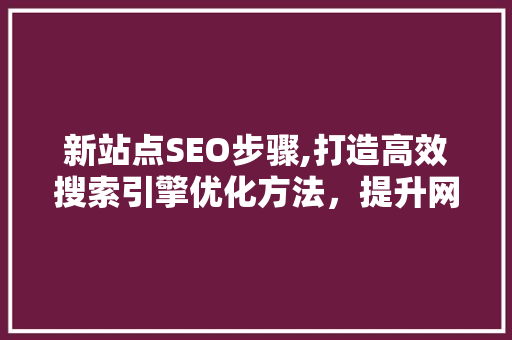 新站点SEO步骤,打造高效搜索引擎优化方法，提升网站流量与排名