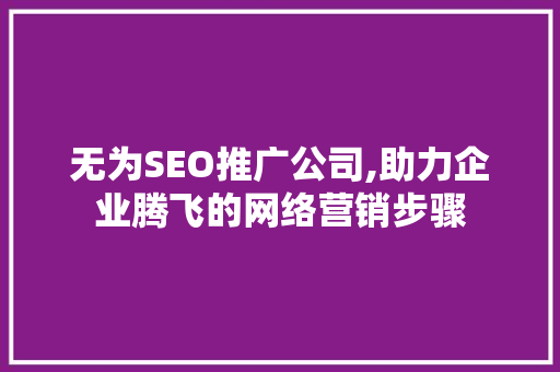 无为SEO推广公司,助力企业腾飞的网络营销步骤