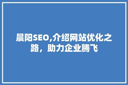 晨阳SEO,介绍网站优化之路，助力企业腾飞