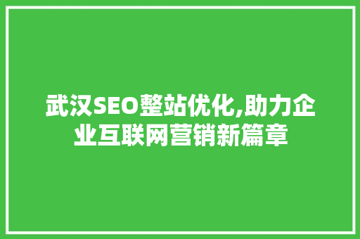 武汉SEO整站优化,助力企业互联网营销新篇章