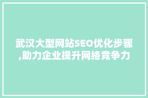 武汉大型网站SEO优化步骤,助力企业提升网络竞争力