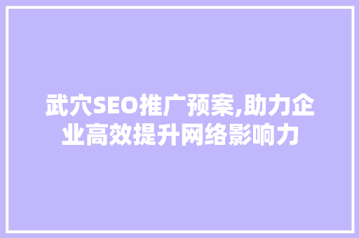 武穴SEO推广预案,助力企业高效提升网络影响力