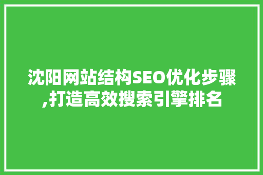 沈阳网站结构SEO优化步骤,打造高效搜索引擎排名