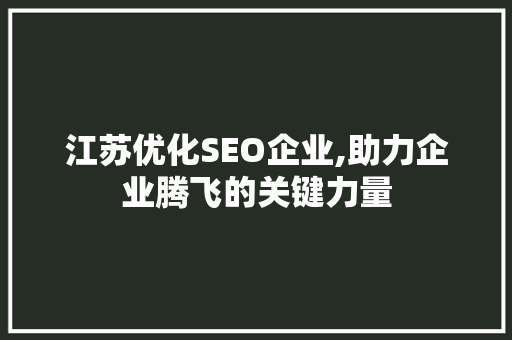 江苏优化SEO企业,助力企业腾飞的关键力量