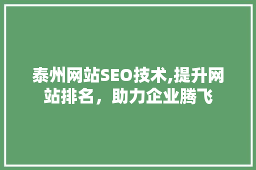 泰州网站SEO技术,提升网站排名，助力企业腾飞