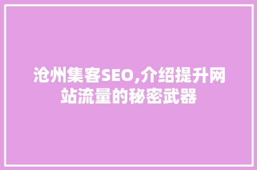 沧州集客SEO,介绍提升网站流量的秘密武器