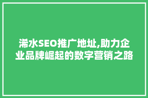 浠水SEO推广地址,助力企业品牌崛起的数字营销之路
