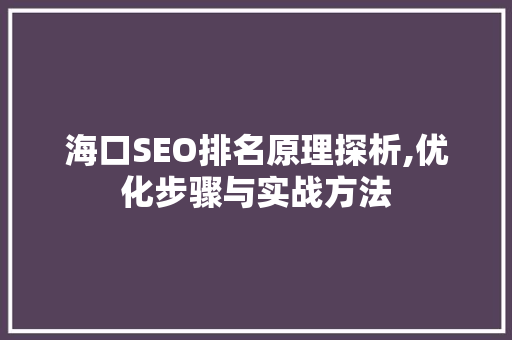 海口SEO排名原理探析,优化步骤与实战方法