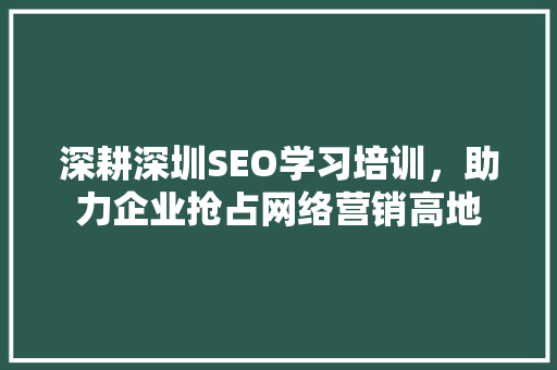 深耕深圳SEO学习培训，助力企业抢占网络营销高地