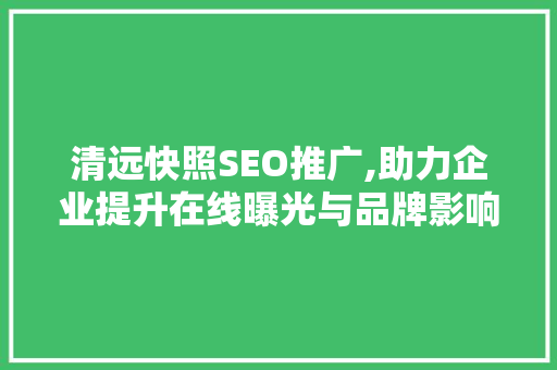 清远快照SEO推广,助力企业提升在线曝光与品牌影响力