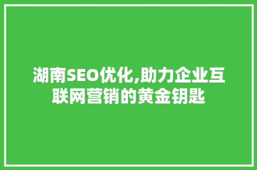 湖南SEO优化,助力企业互联网营销的黄金钥匙