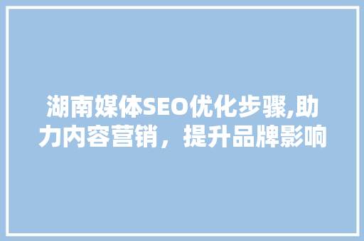 湖南媒体SEO优化步骤,助力内容营销，提升品牌影响力