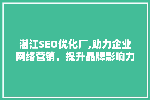 湛江SEO优化厂,助力企业网络营销，提升品牌影响力