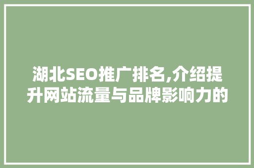 湖北SEO推广排名,介绍提升网站流量与品牌影响力的方法