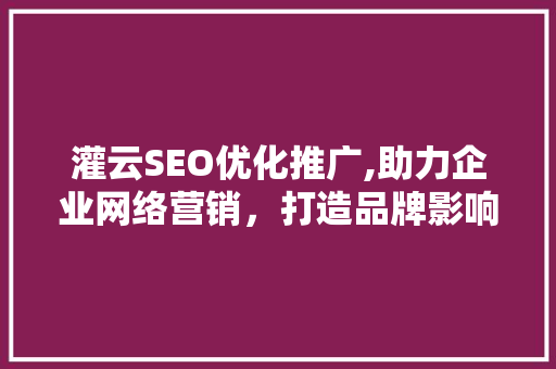 灌云SEO优化推广,助力企业网络营销，打造品牌影响力