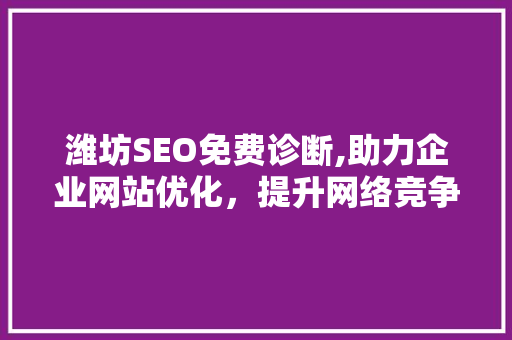 潍坊SEO免费诊断,助力企业网站优化，提升网络竞争力