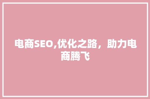 电商SEO,优化之路，助力电商腾飞
