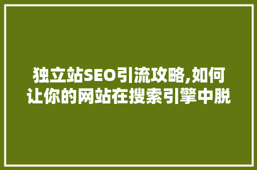 独立站SEO引流攻略,如何让你的网站在搜索引擎中脱颖而出