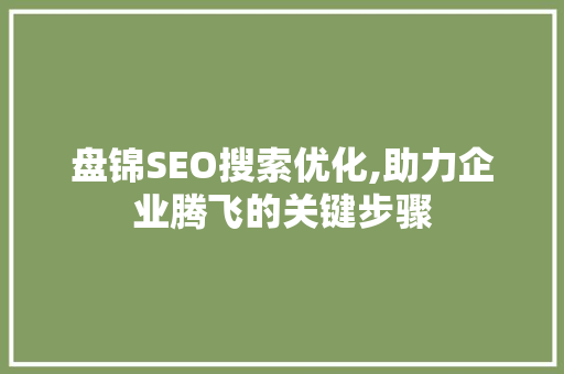 盘锦SEO搜索优化,助力企业腾飞的关键步骤