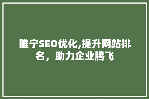 睢宁SEO优化,提升网站排名，助力企业腾飞