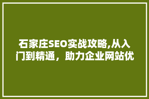 石家庄SEO实战攻略,从入门到精通，助力企业网站优化