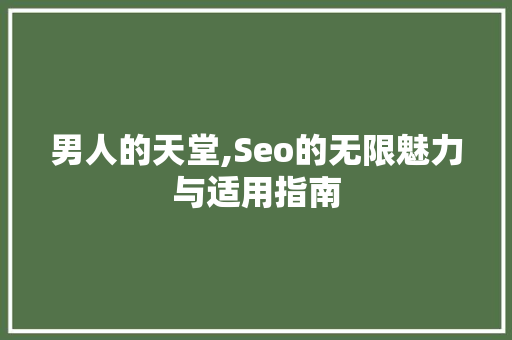 男人的天堂,Seo的无限魅力与适用指南