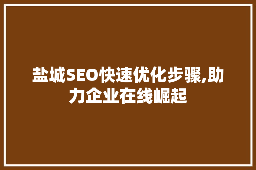 盐城SEO快速优化步骤,助力企业在线崛起