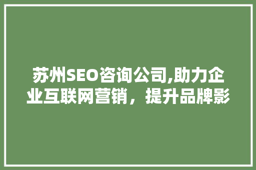 苏州SEO咨询公司,助力企业互联网营销，提升品牌影响力