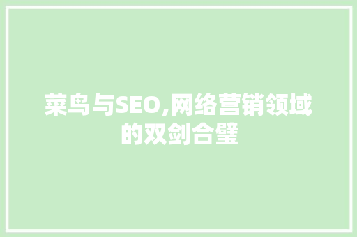 菜鸟与SEO,网络营销领域的双剑合璧