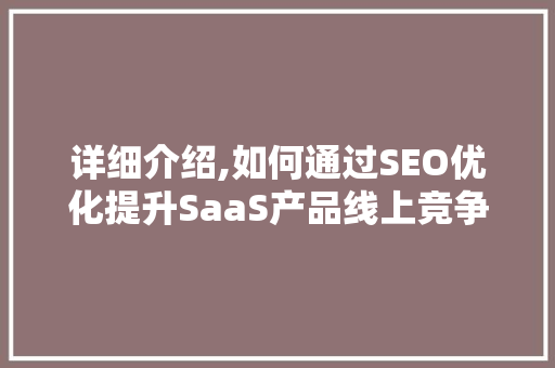 详细介绍,如何通过SEO优化提升SaaS产品线上竞争力