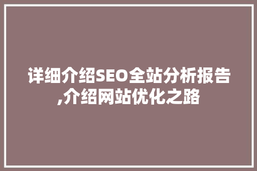详细介绍SEO全站分析报告,介绍网站优化之路