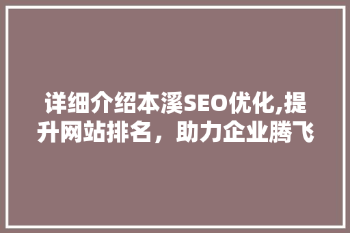 详细介绍本溪SEO优化,提升网站排名，助力企业腾飞