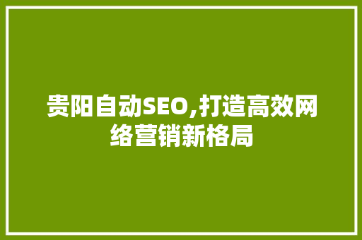 贵阳自动SEO,打造高效网络营销新格局
