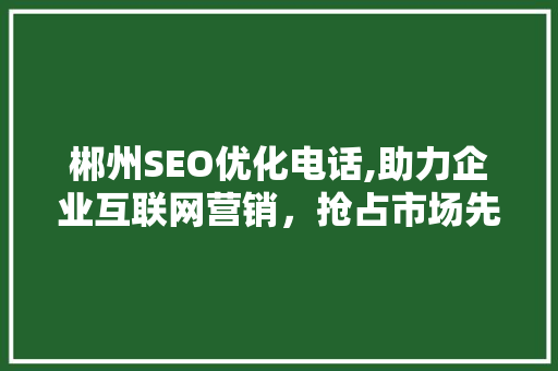 郴州SEO优化电话,助力企业互联网营销，抢占市场先机