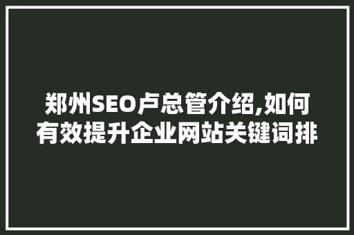 郑州SEO卢总管介绍,如何有效提升企业网站关键词排名