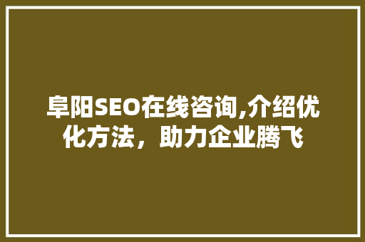 阜阳SEO在线咨询,介绍优化方法，助力企业腾飞